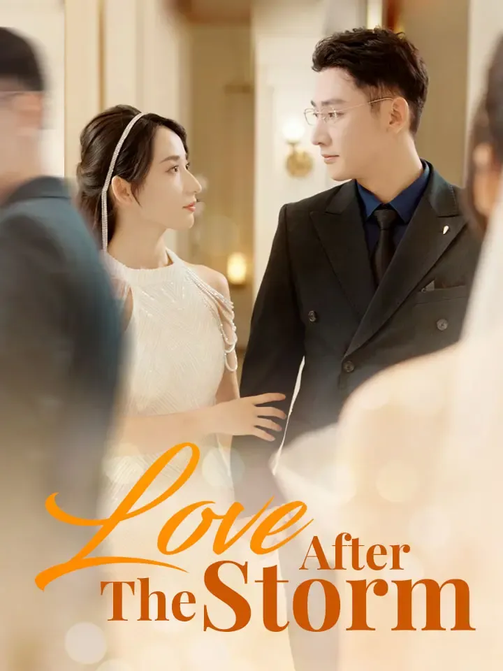 Love After The Storm cover