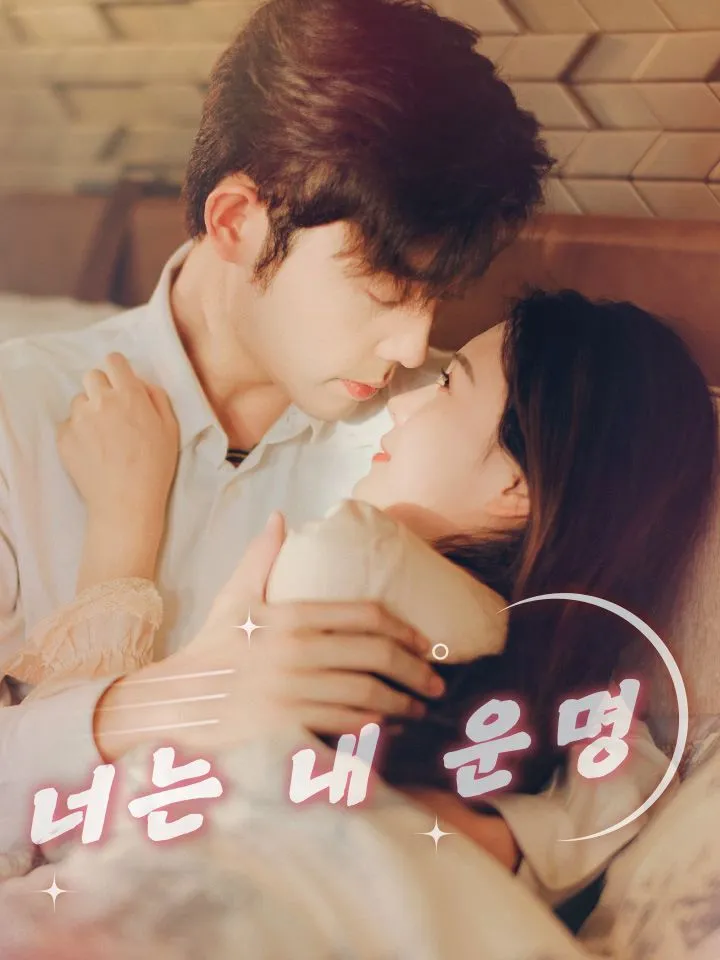 너는 내 운명 표지
