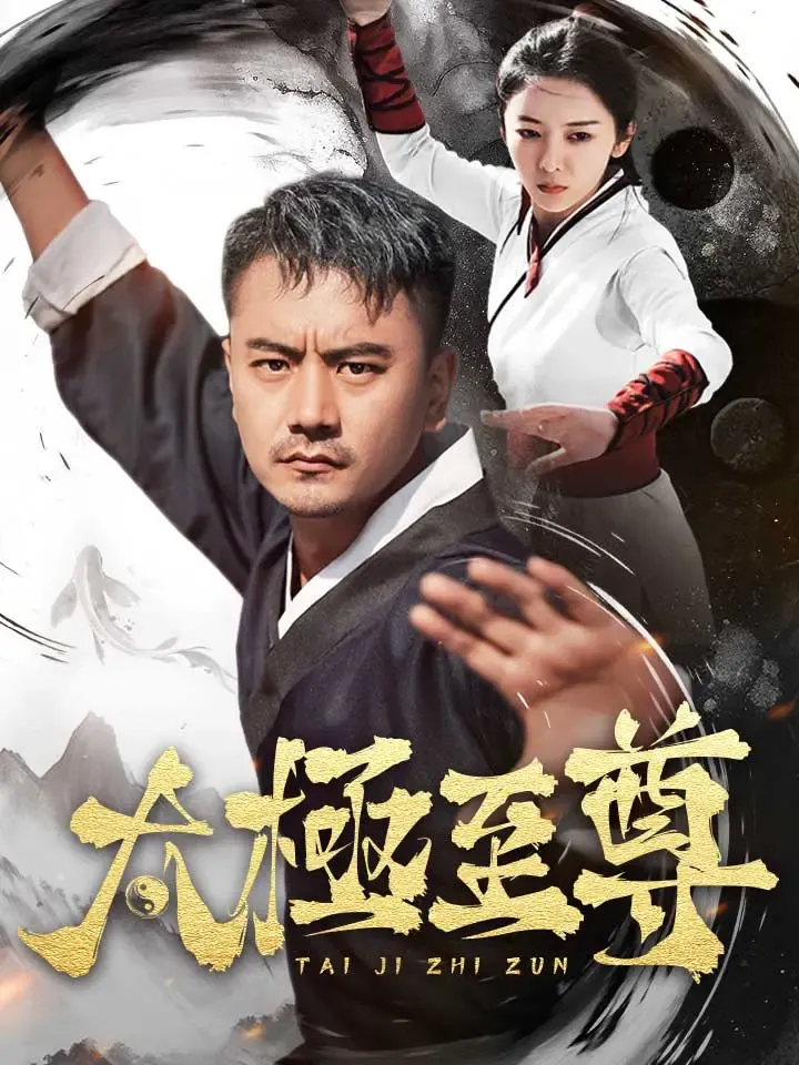 《太极至尊》封面