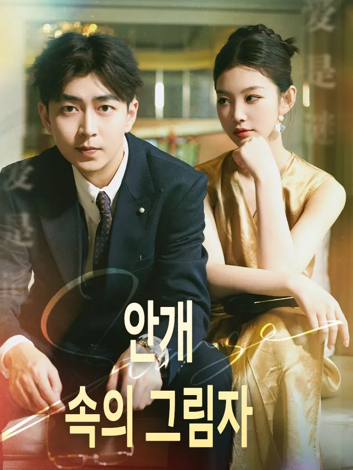 안개 속의 그림자 표지