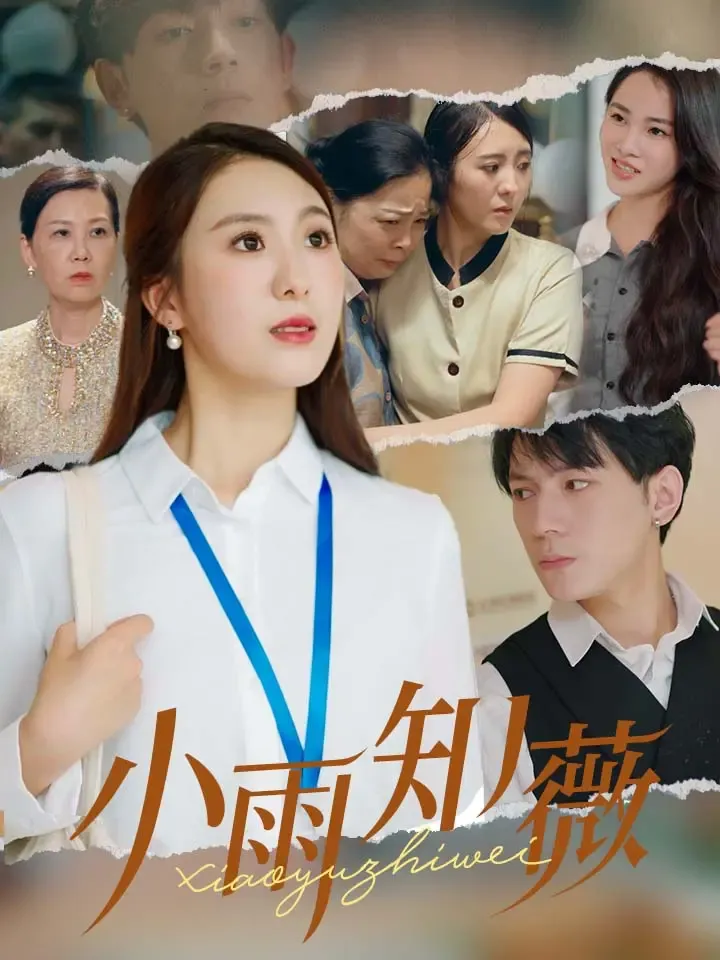 《小雨知薇》封面