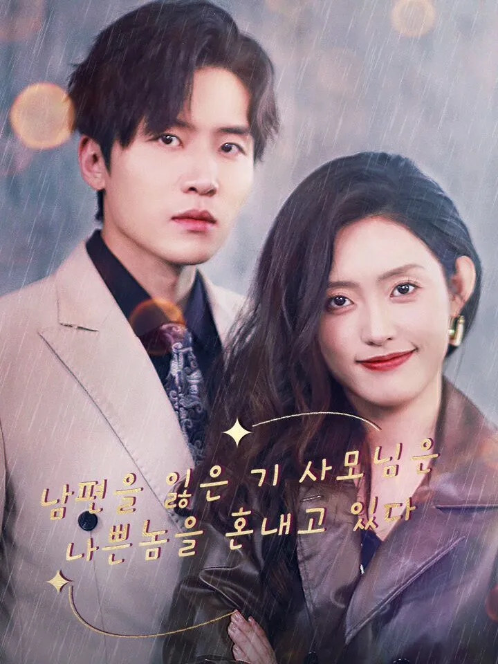 남편을 잃은 기 사모님은 나쁜놈을 혼내고 있다 표지