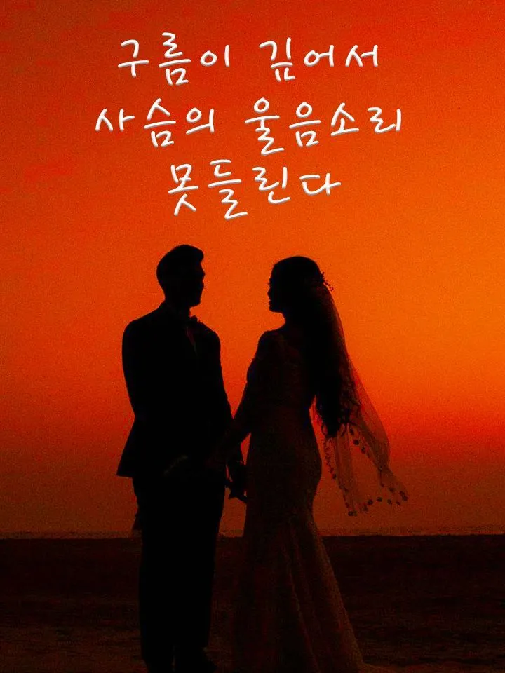 구름이 깊어서 사슴의 울음소리 못들린다 표지