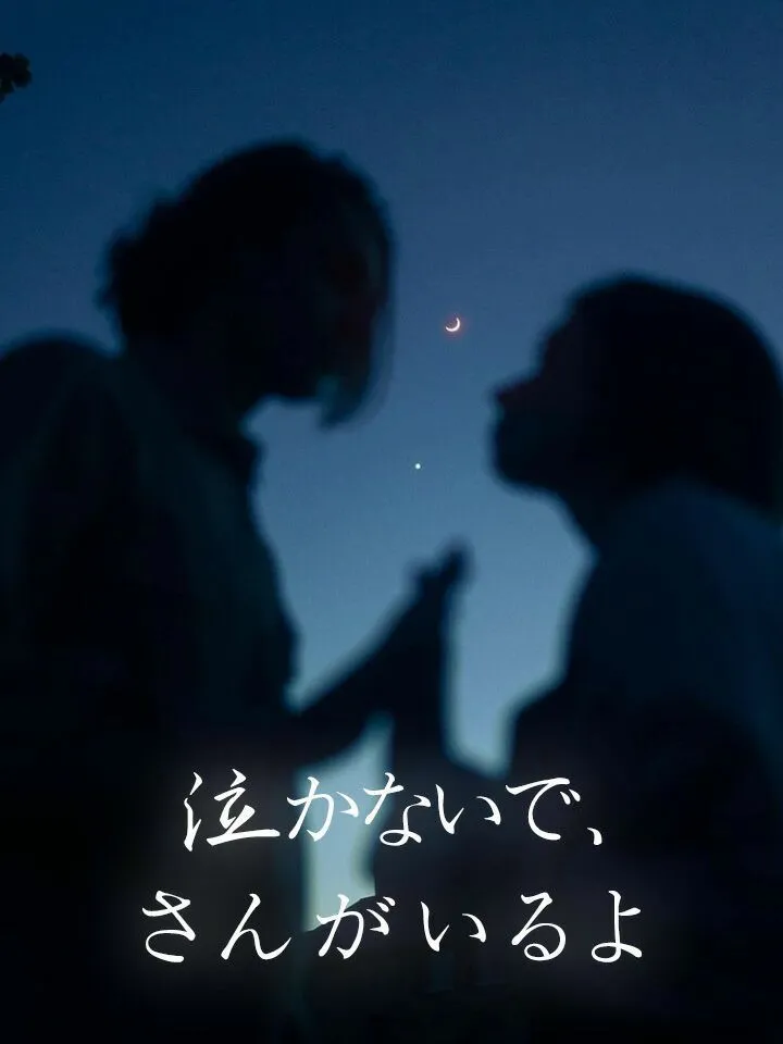 「泣かないで、姉さんがいるよ」のカバー画像