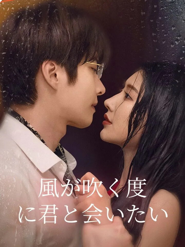 「風が吹く度に君と会いたい」のカバー画像
