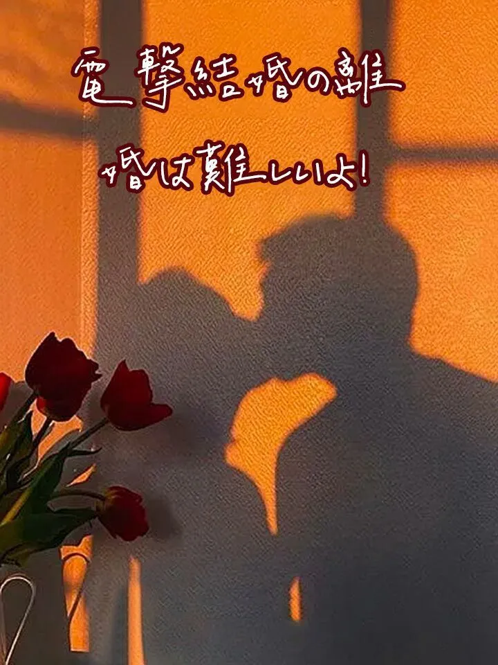 「電撃結婚の離婚は難しいよ！」のカバー画像