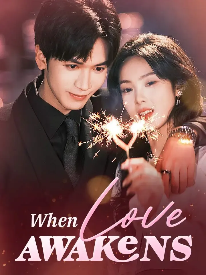 When Love Awakens cover