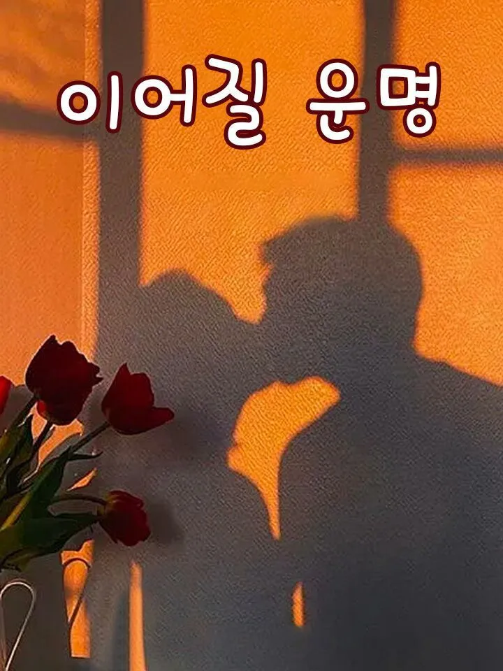 이어질 운명 표지