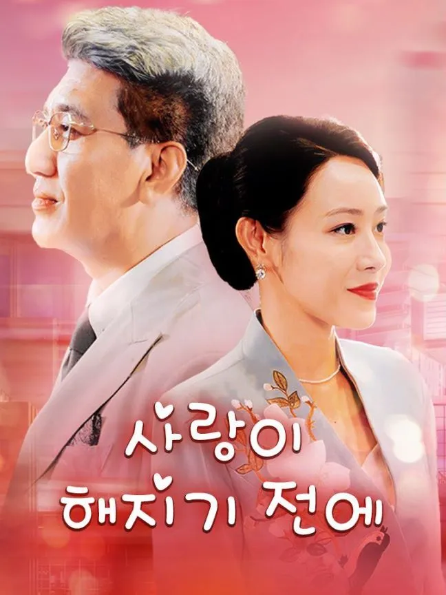사랑이 해지기 전에 표지
