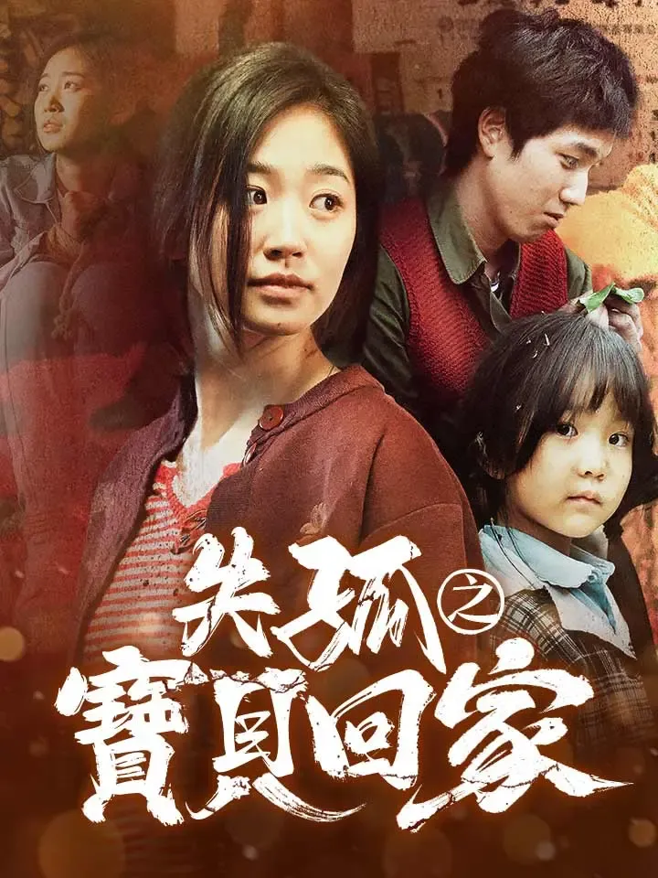 《失孤之寶貝回家》封面
