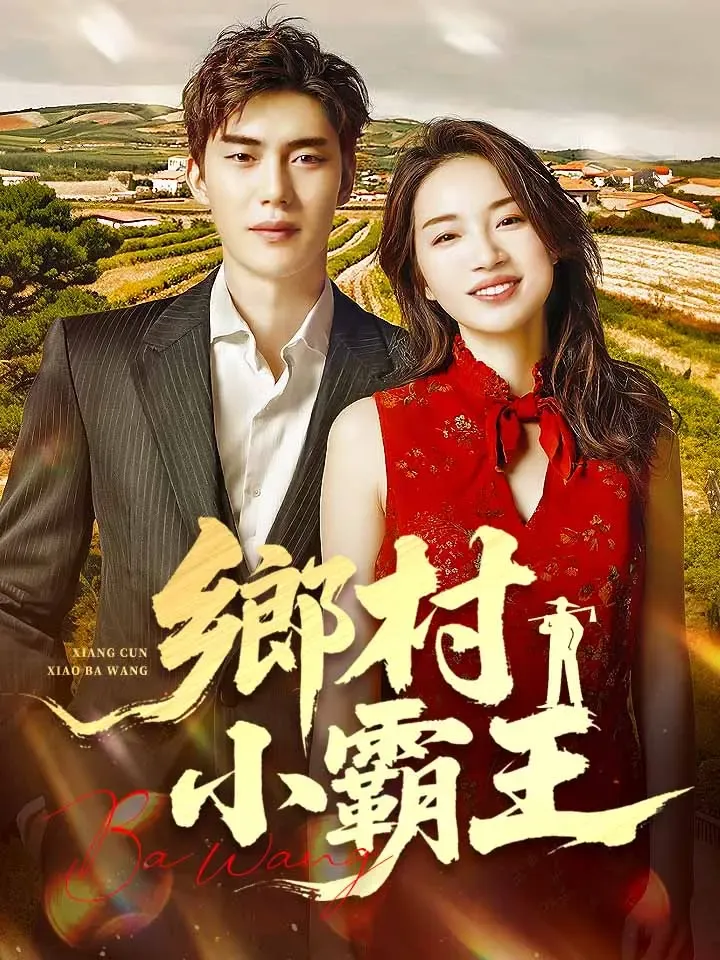 《鄉村小霸王》封面