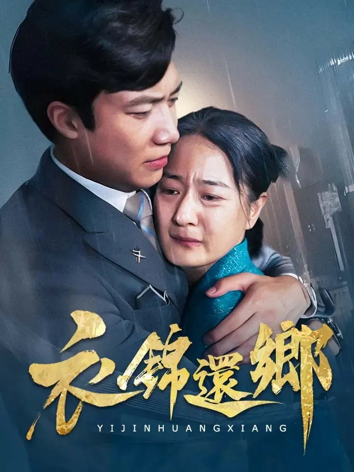 《衣錦還鄉》封面