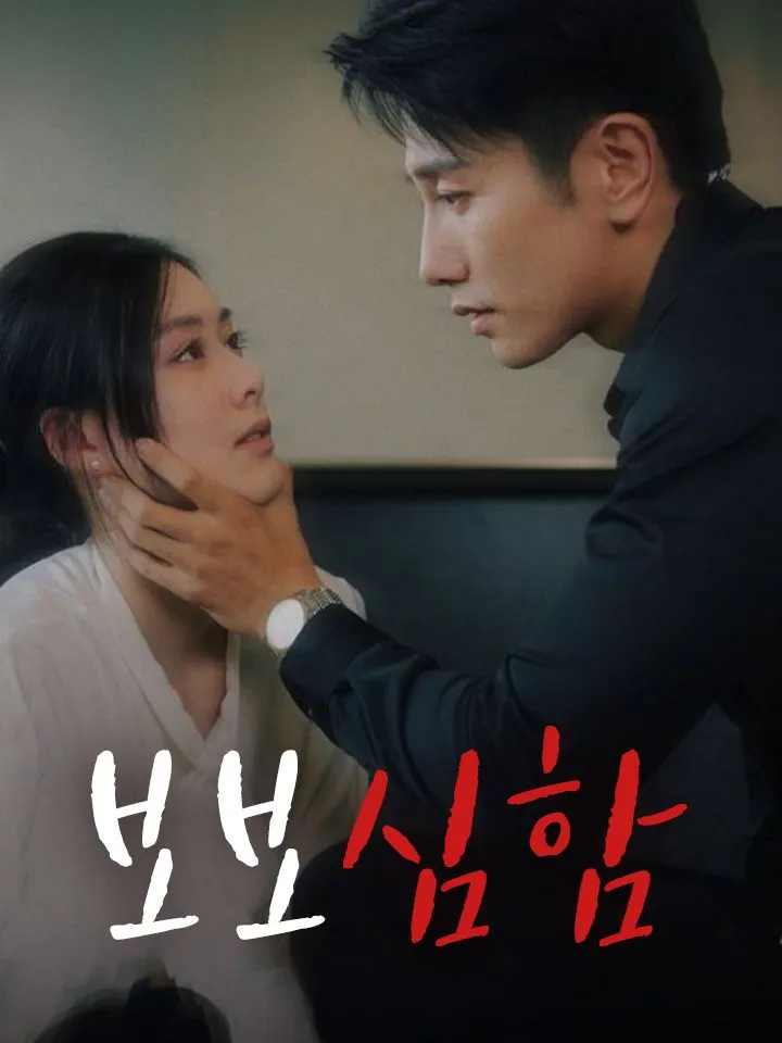 보보심함 표지