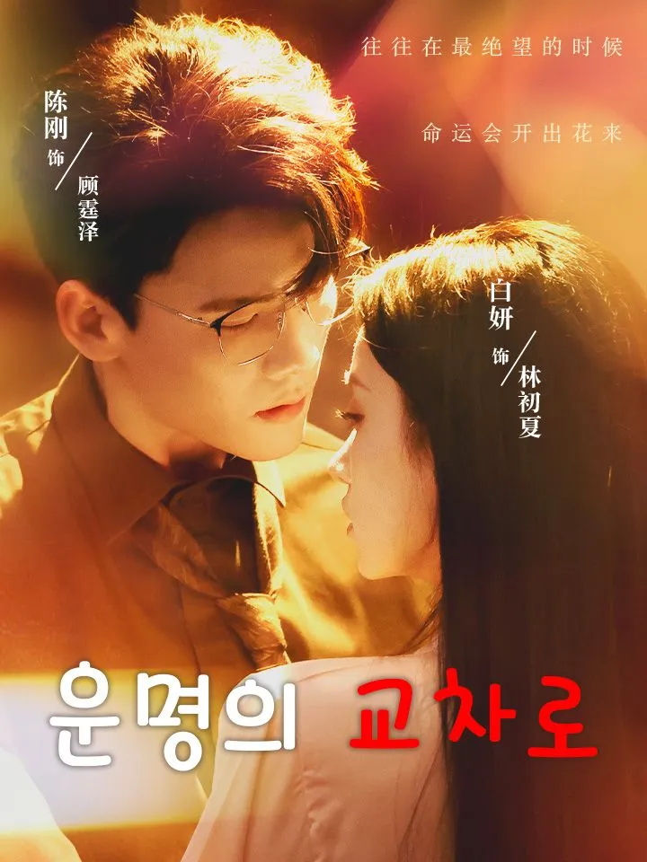 운명의 교차로 표지