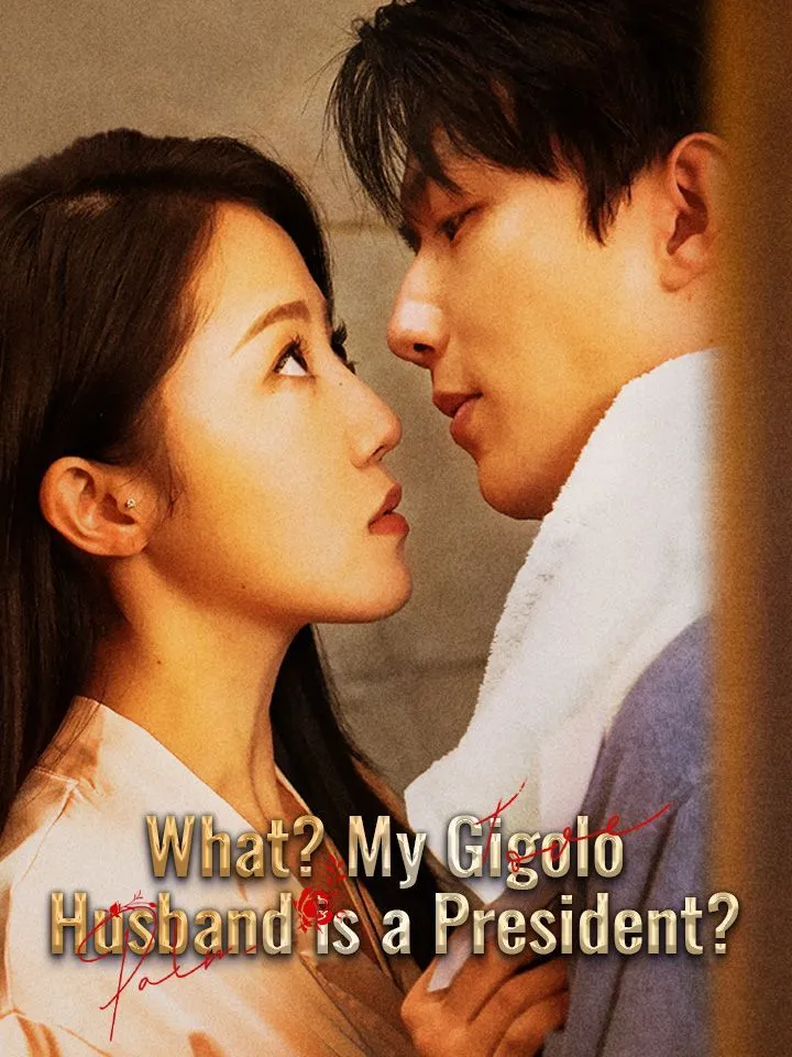 What? My Gigolo Husband is a President? cover