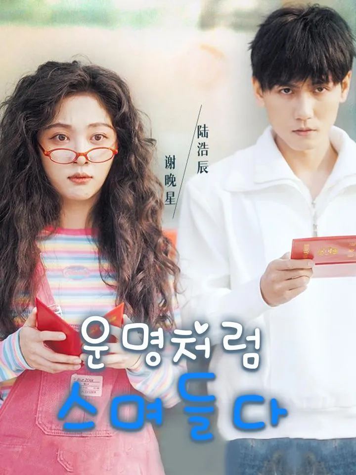 운명처럼 스며들다 표지