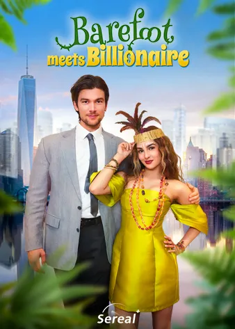 Barefoot Meets Billionaire cover