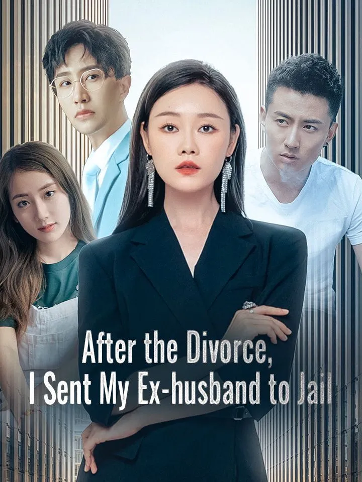 After the Divorce, I Sent My Ex-husband to Jail cover