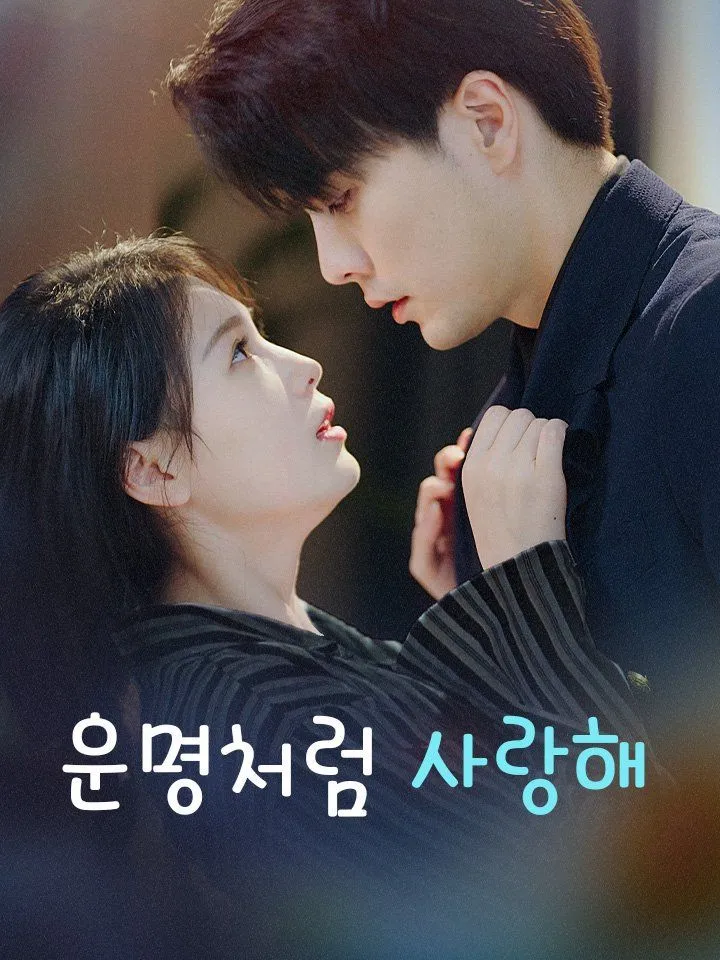 운명처럼 사랑해 표지