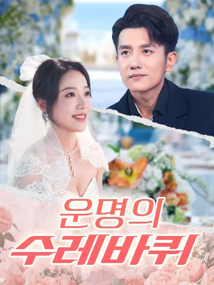 운명의 수레바퀴 표지