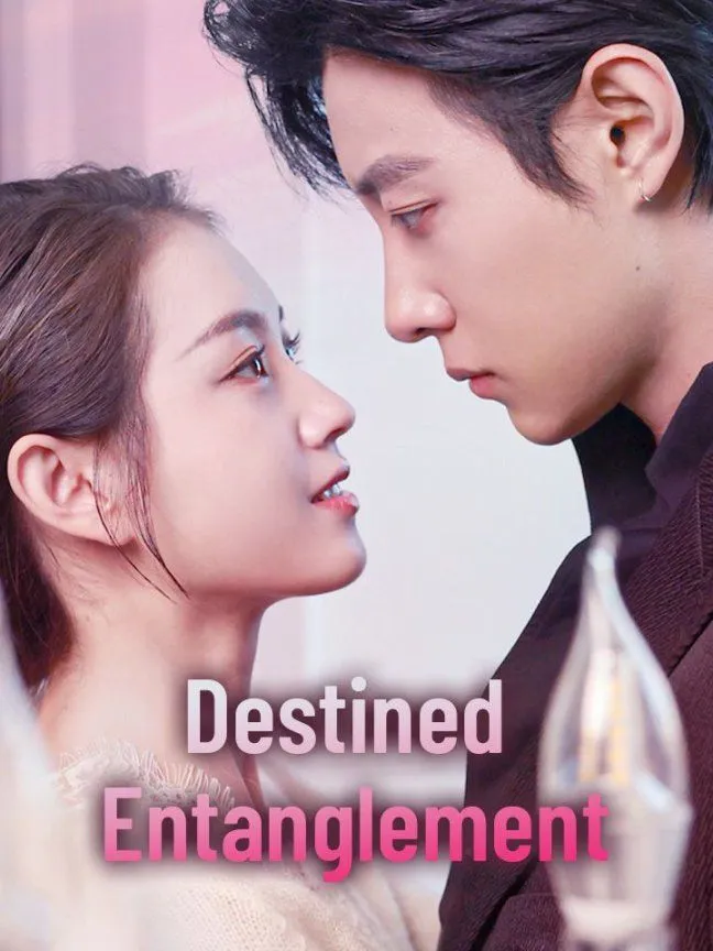 Destined Entanglement cover