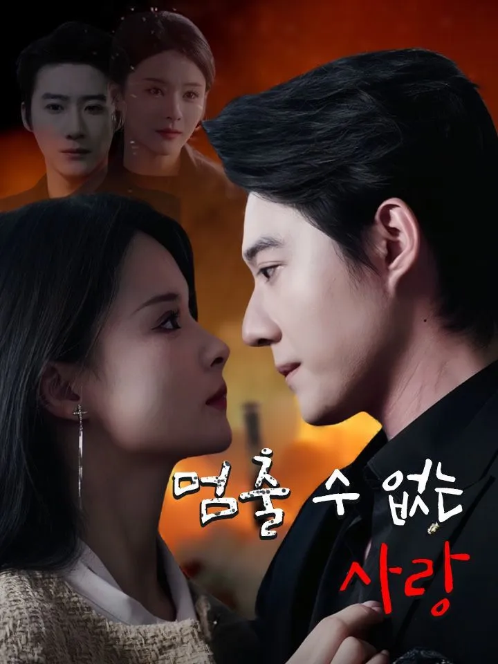 멈출 수 없는 사랑 표지