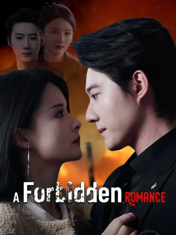 A Forbidden Romance cover
