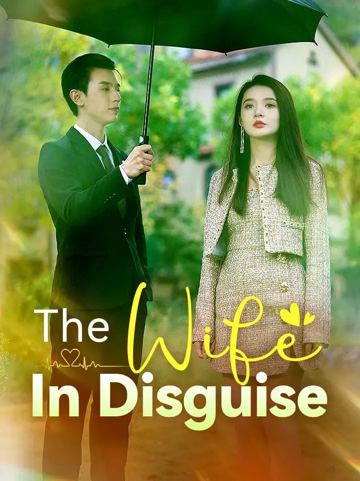 The Wife In Disguise cover