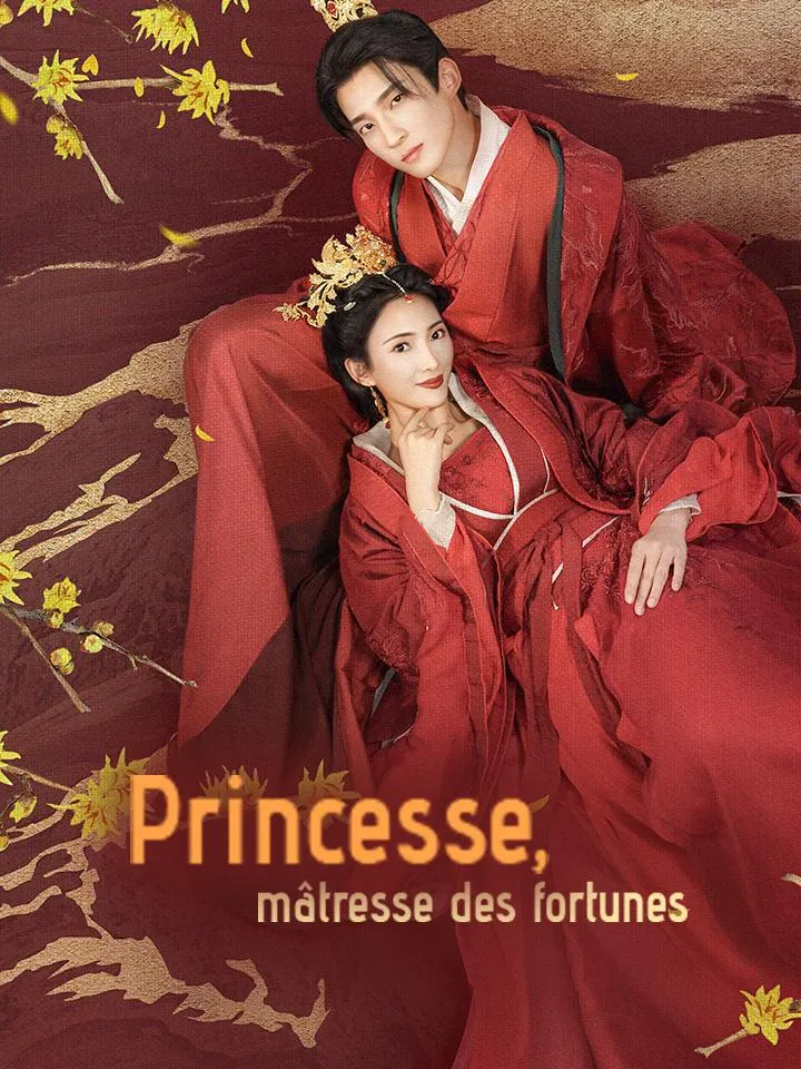 Couverture de Princesse, mâtresse des fortunes