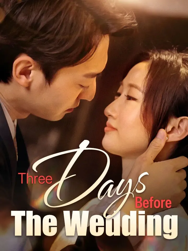 Three Days Before The Wedding cover