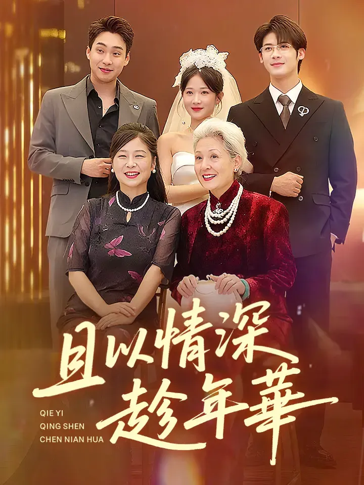 《且以情深趁年华》封面