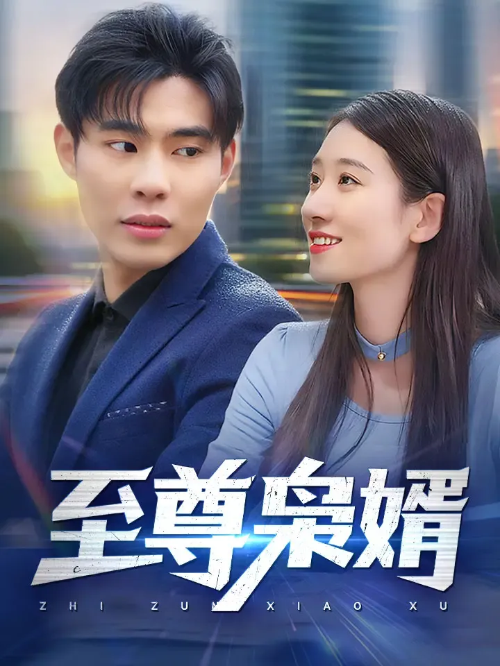 《至尊枭婿》封面