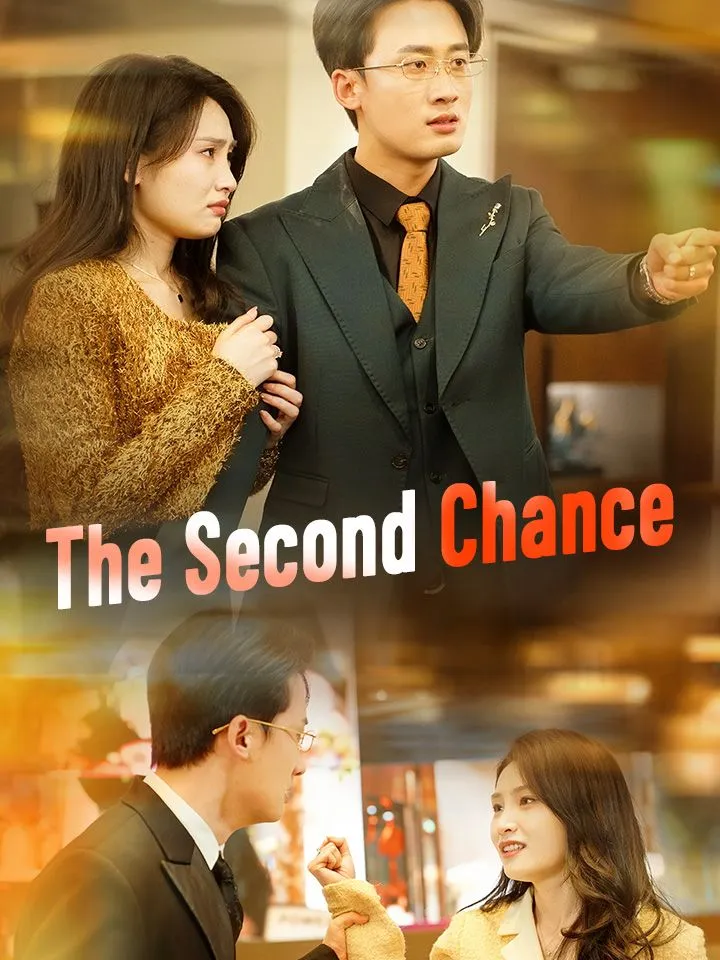 The Second Chance cover