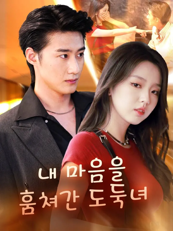 내 마음을 훔쳐간  도둑녀 표지