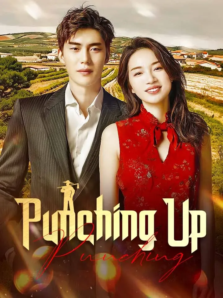 Punching Up cover