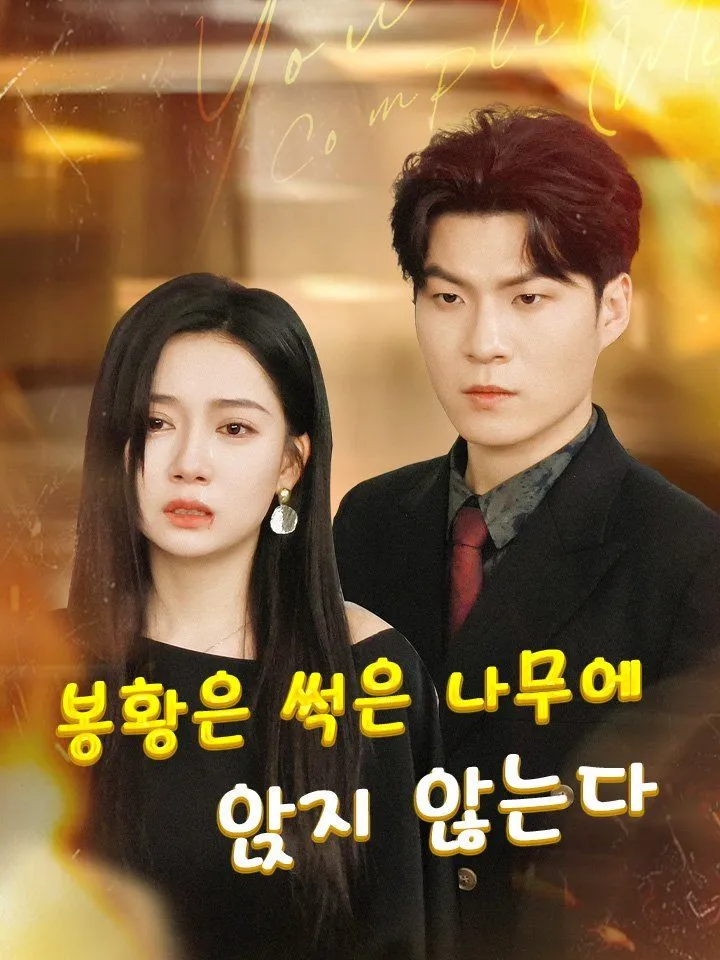 봉황은 썩은 나무에 앉지 않는다 표지