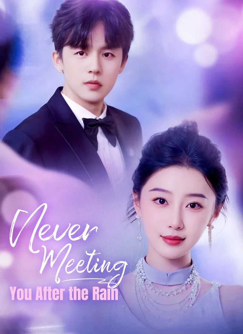 [Dubbed]Never Meeting You After the Rain cover