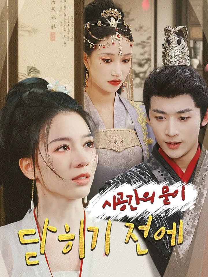 시공간의 문이 닫히기 전에 표지