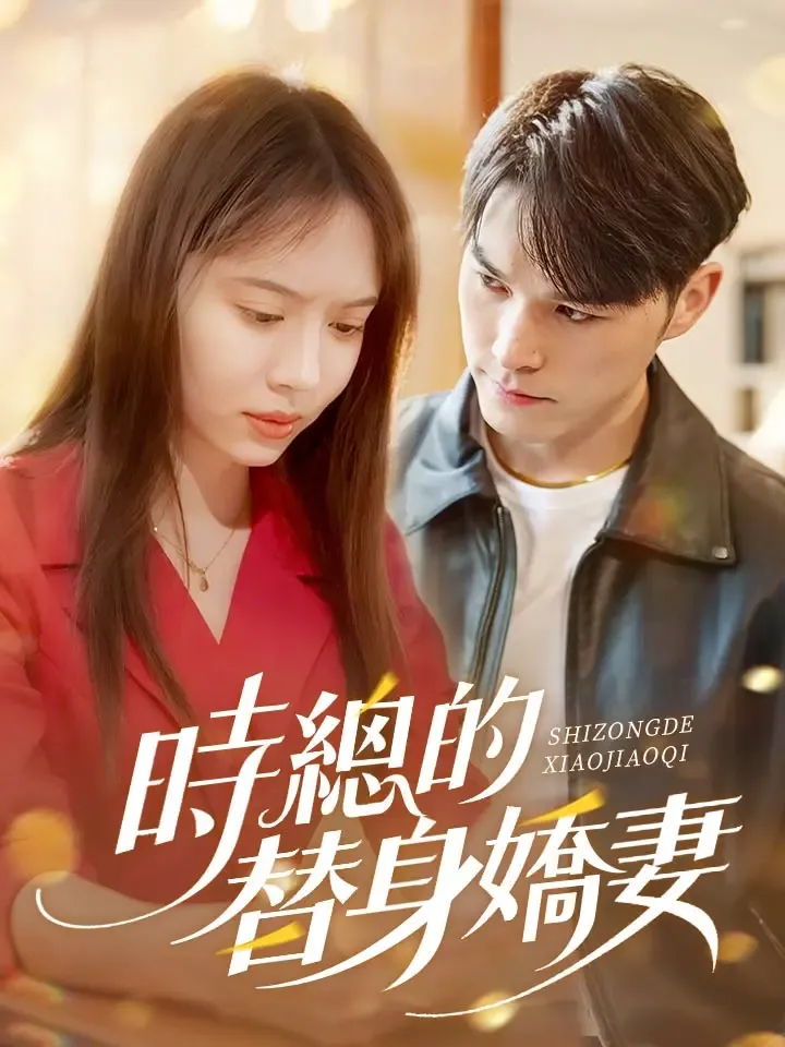 《時總的替身嬌妻》封面