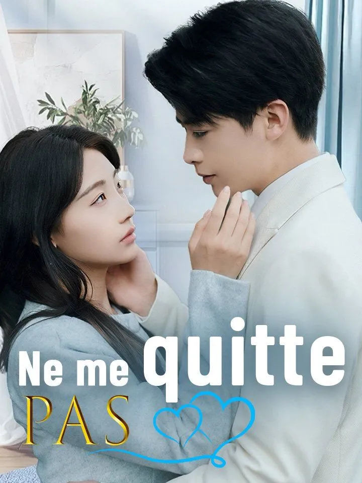 Couverture de Ne me quitte pas