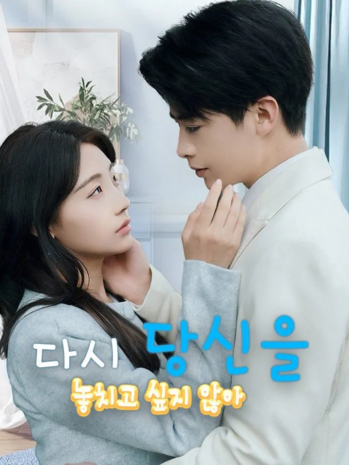 다시 당신을 놓치고 싶지 않아 표지