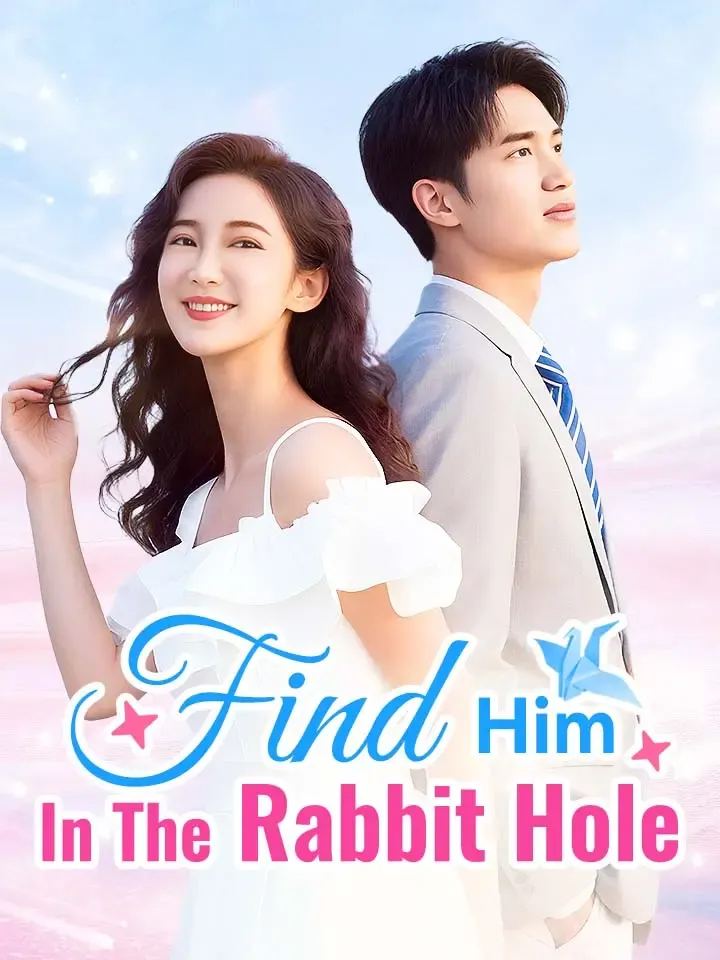 Find Him In The Rabbit Hole cover