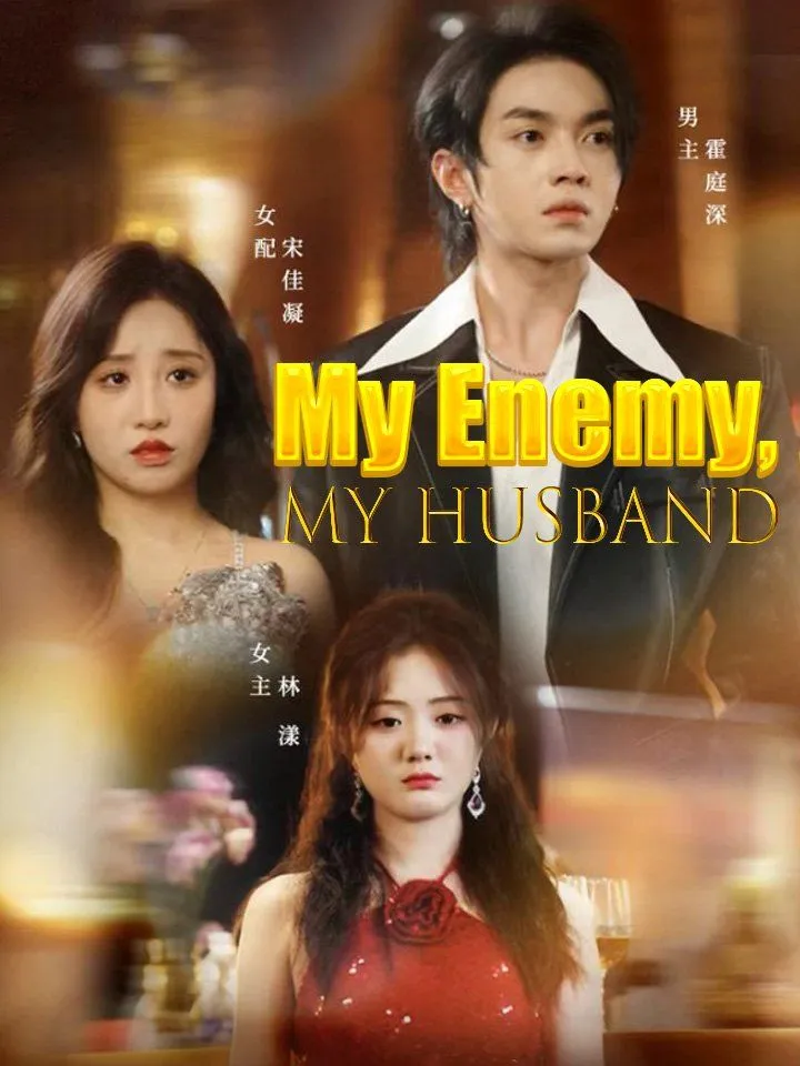 My Enemy, My Husband cover