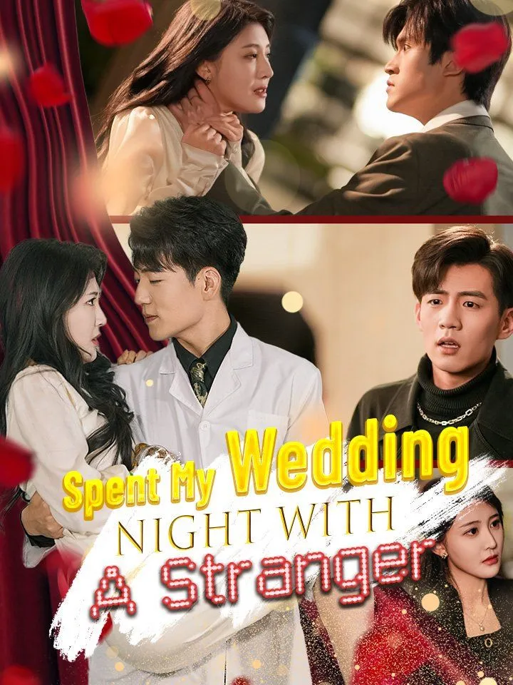 Spent My Wedding Night With a Stranger cover