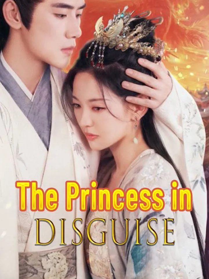 The Princess in Disguise cover