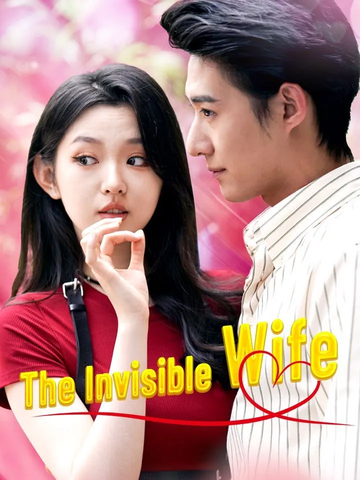 The Invisible Wife cover
