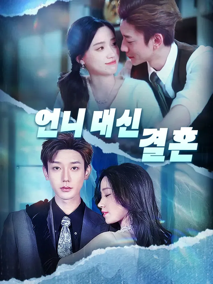 언니 대신 결혼 표지