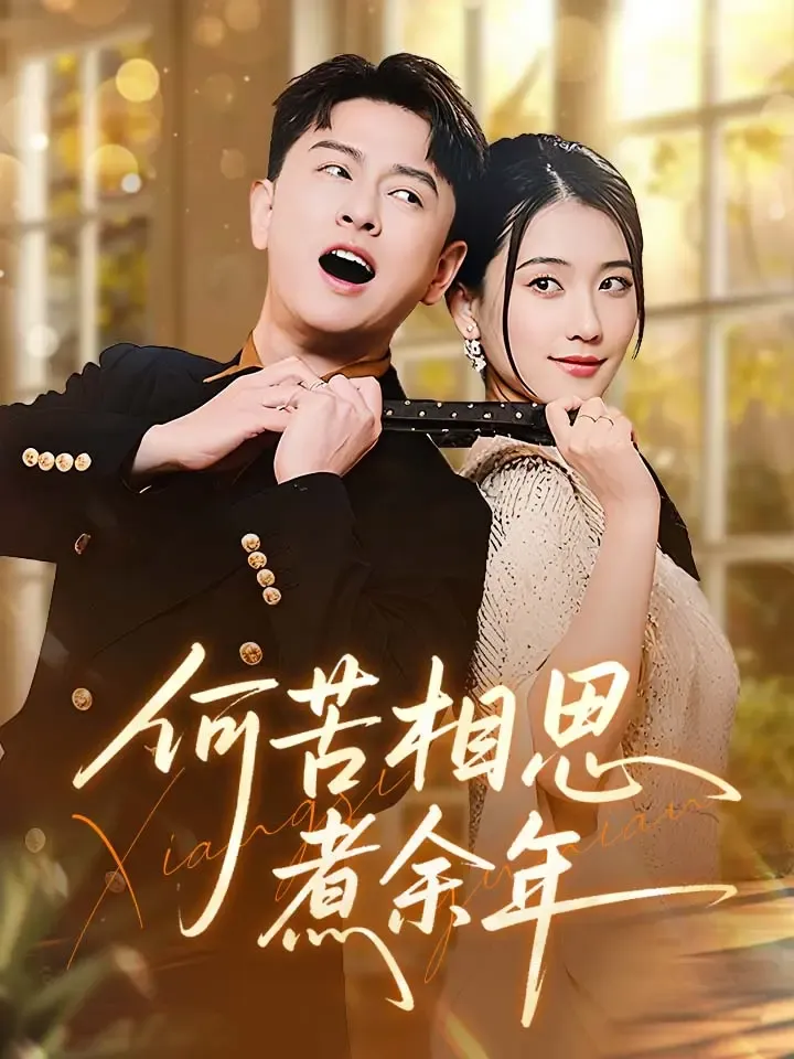 《何苦相思煮余年》封面