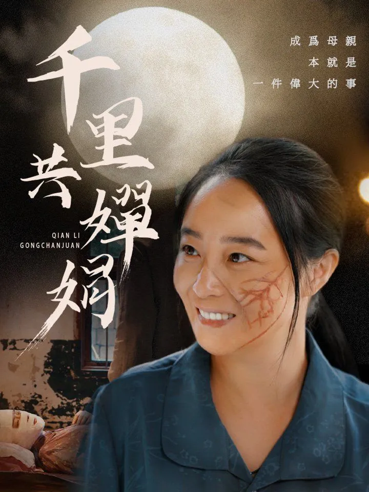 《千里共嬋娟》封面