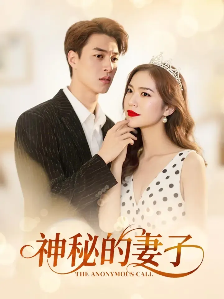 《神秘的妻子》封面